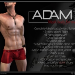 adam-affiche